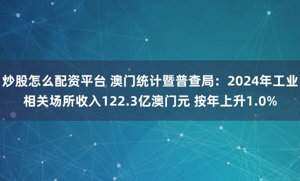炒股怎么配资平台 澳门统计暨普查局：2024年工业相关场所收入122.3亿澳门元 按年上升1.0%