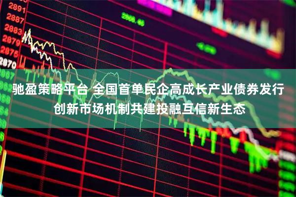 驰盈策略平台 全国首单民企高成长产业债券发行 创新市场机制共建投融互信新生态