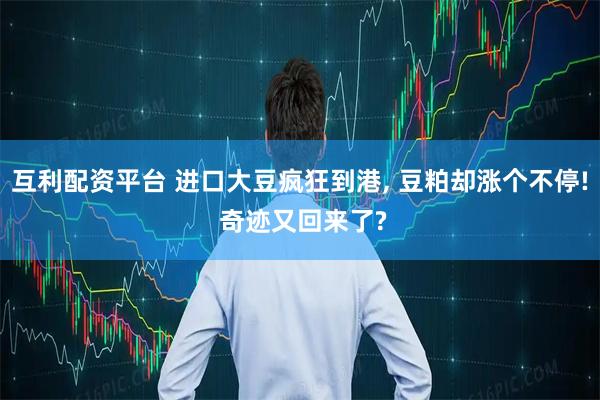 互利配资平台 进口大豆疯狂到港, 豆粕却涨个不停! 奇迹又回来了?