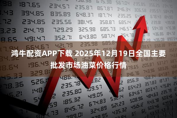 鸿牛配资APP下载 2025年12月19日全国主要批发市场油菜价格行情