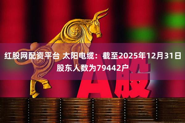 红股网配资平台 太阳电缆：截至2025年12月31日股东人数为79442户