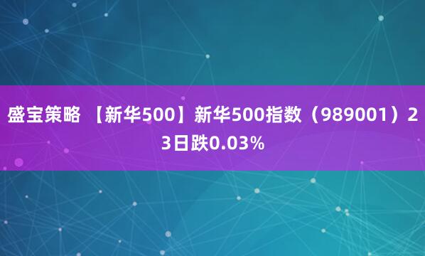 盛宝策略 【新华500】新华500指数（989001）23日跌0.03%