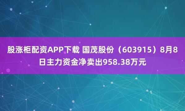 股涨柜配资APP下载 国茂股份（603915）8月8日主力资金净卖出958.38万元