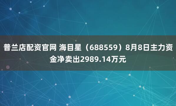 普兰店配资官网 海目星（688559）8月8日主力资金净卖出2989.14万元